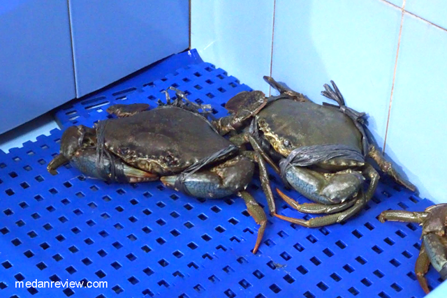 Kepiting Sebelum Dihidangkan