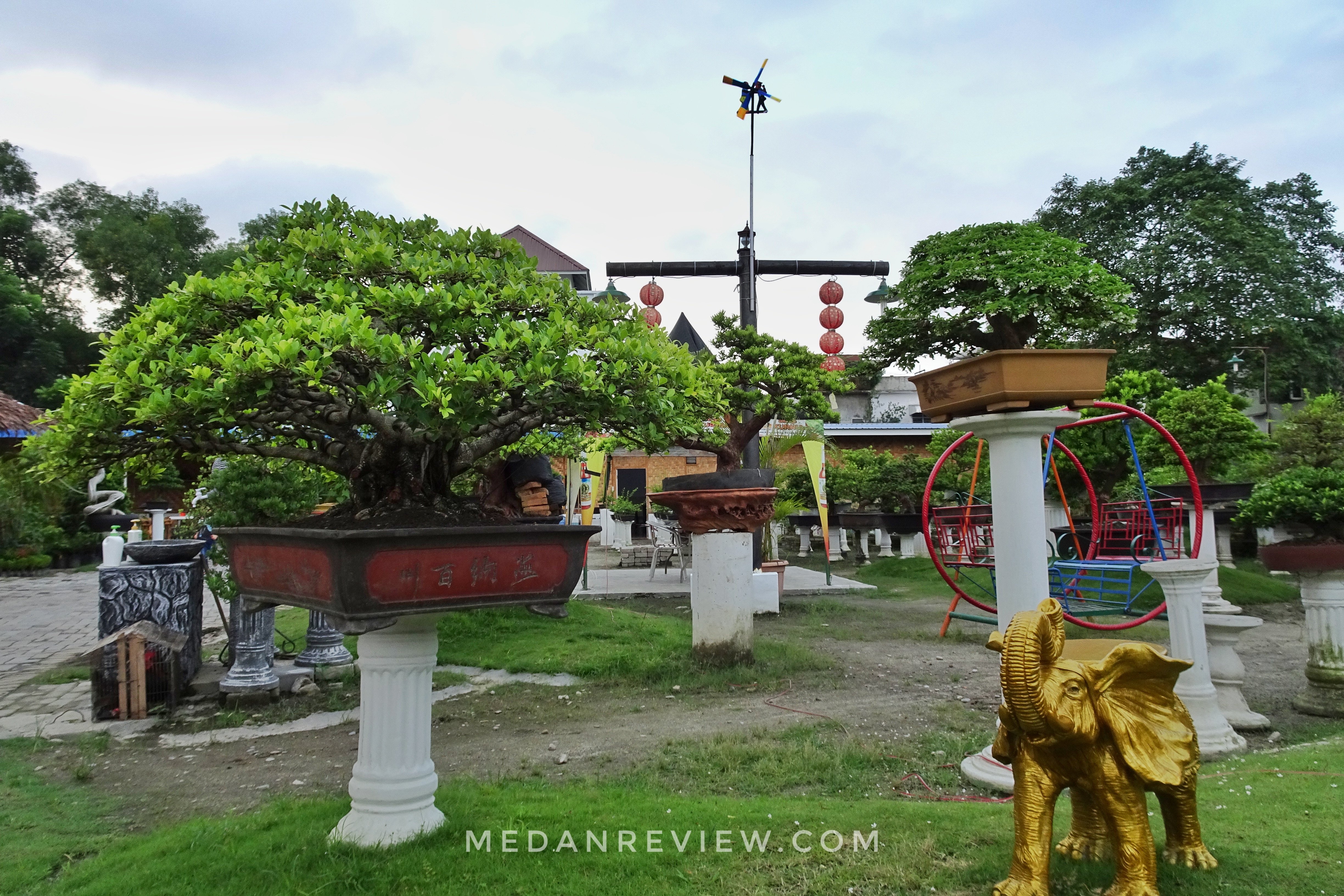 Taman Bonsai 2